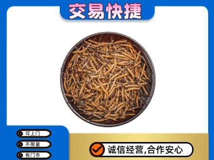 荆州高价回收散虫草